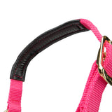 Licol Shires Topaz en nylon