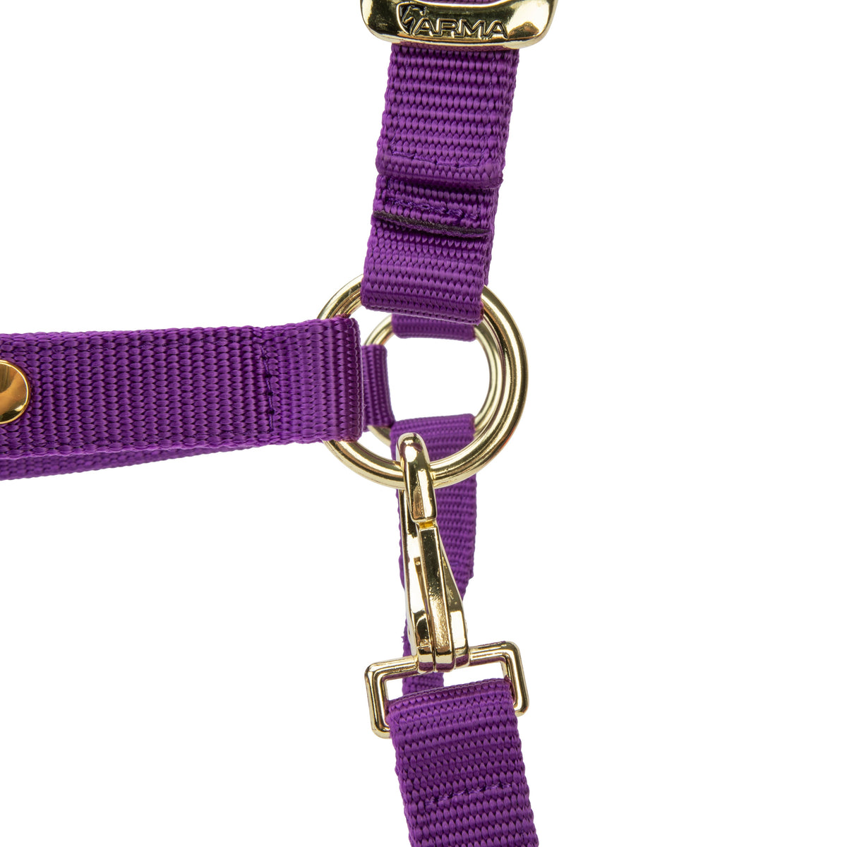 Licol Shires Topaz en nylon