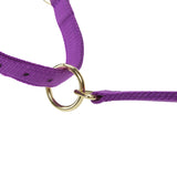 Licol Shires Topaz en nylon