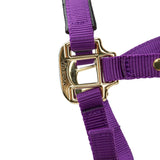 Licol Shires Topaz en nylon