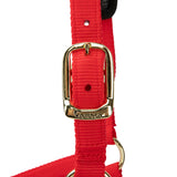 Licol Shires Topaz en nylon