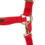 Licol Shires Topaz en nylon