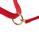Licol Shires Topaz en nylon