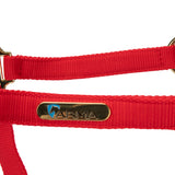 Licol Shires Topaz en nylon