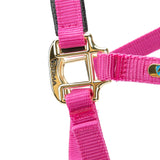 Licol Shires Topaz en nylon