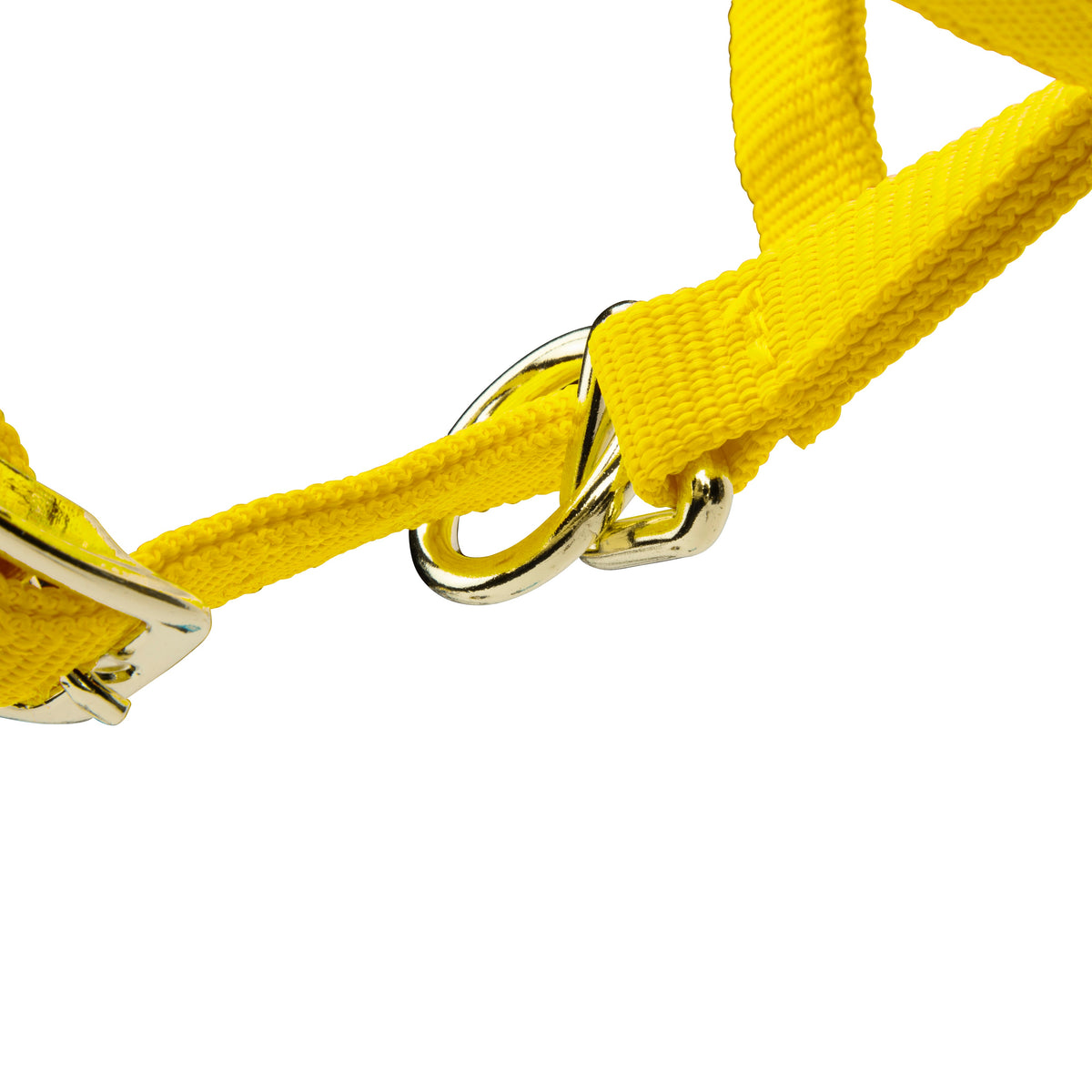 Licol Shires Topaz en nylon