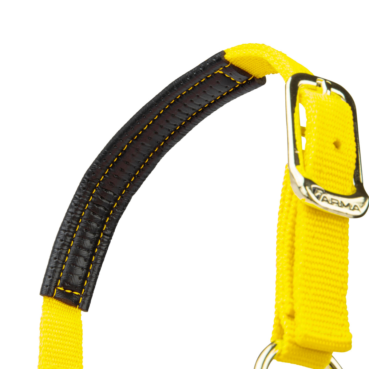 Licol Shires Topaz en nylon