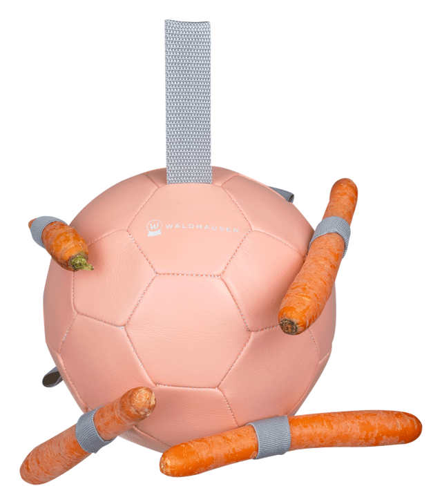 Waldhausen Carrot Ball #colour_linnea-pink