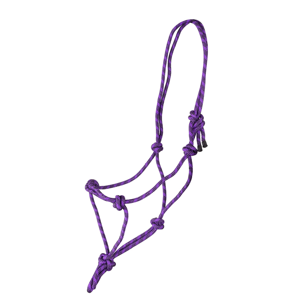 Licol Shires Rope Control