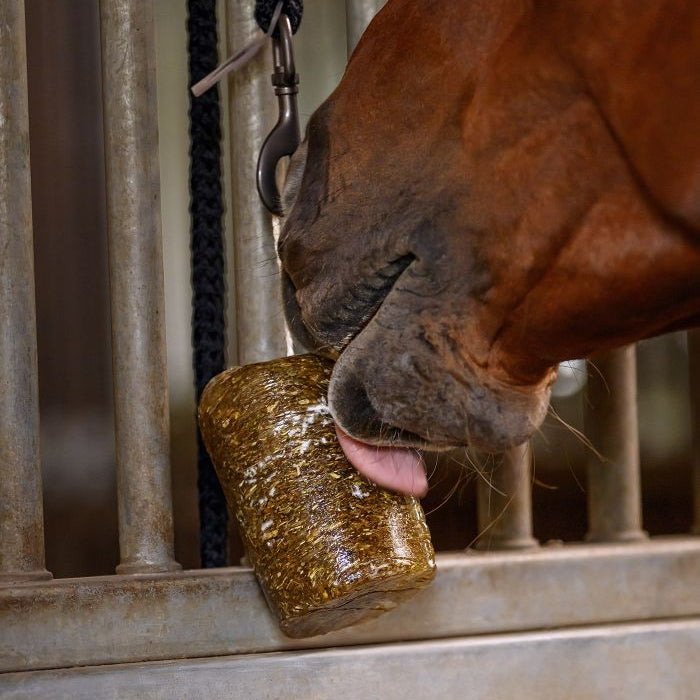 Waldhausen Stablesnack Herbal Lick