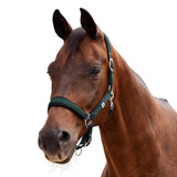 Dublin Neo Comfort Padded Neoprene Horse Headcollar