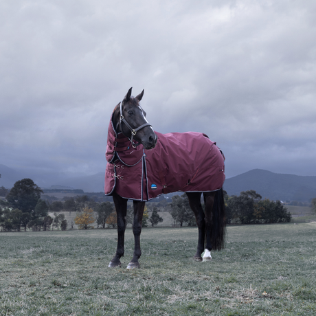Weatherbeeta Comfitec Essential 220G Detach-A-Neck Turnout #colour_burgundy-navy