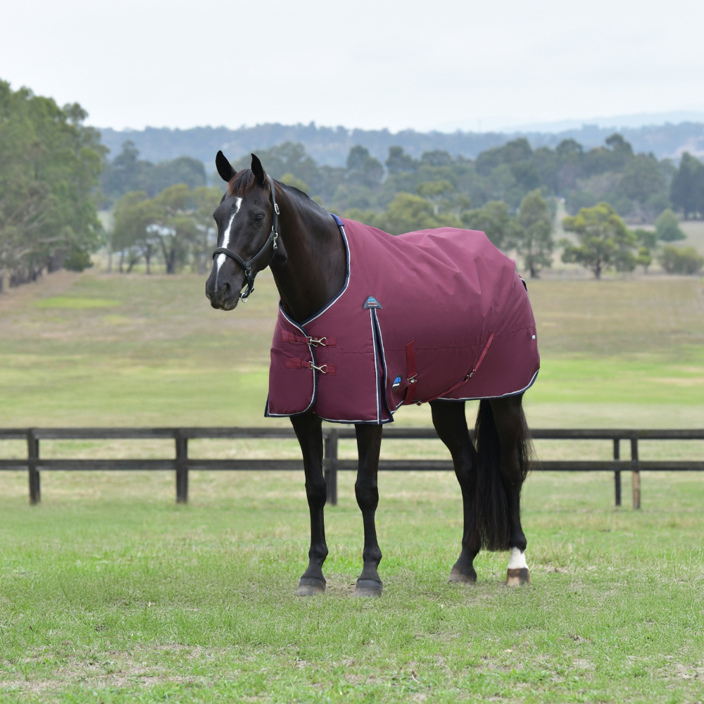 Weatherbeeta Comfitec Essential 0G Turnout #colour_burgundy-navy