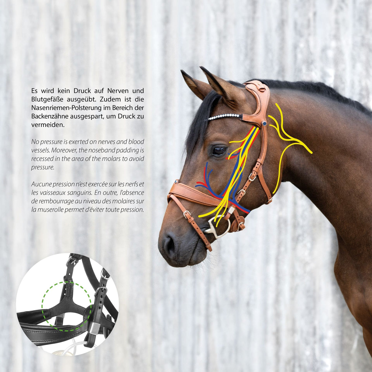 Stubben Freedom II with Slide/Lock Snaffle Bridle #colour_black-black