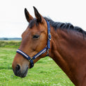 Hy Equestrian Mystic Head Collar #colour_navy-rose-dust