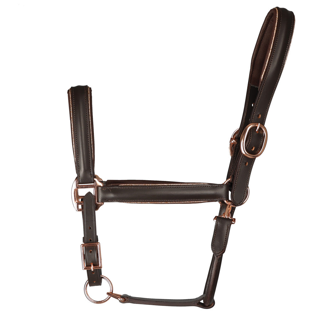 Hy Equestrian Chromatic Leather Head Collar Brown Full