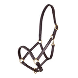 Shires Velociti GARA Ragley Lined Leather Headcollar