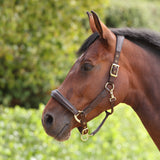 Shires Velociti Lusso Padded Leather Headcollar #colour_havana