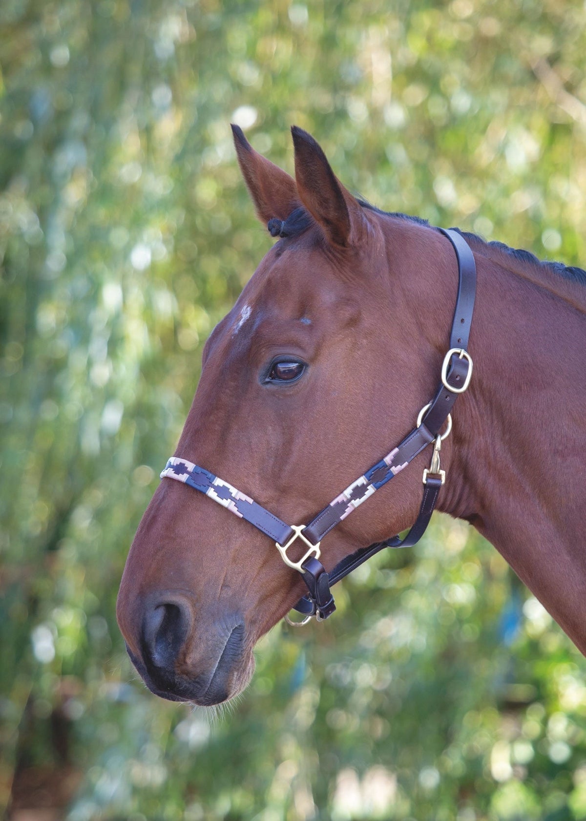 Licol polo en cuir Shires Velociti GARA