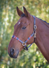 Licol polo en cuir Shires Velociti GARA