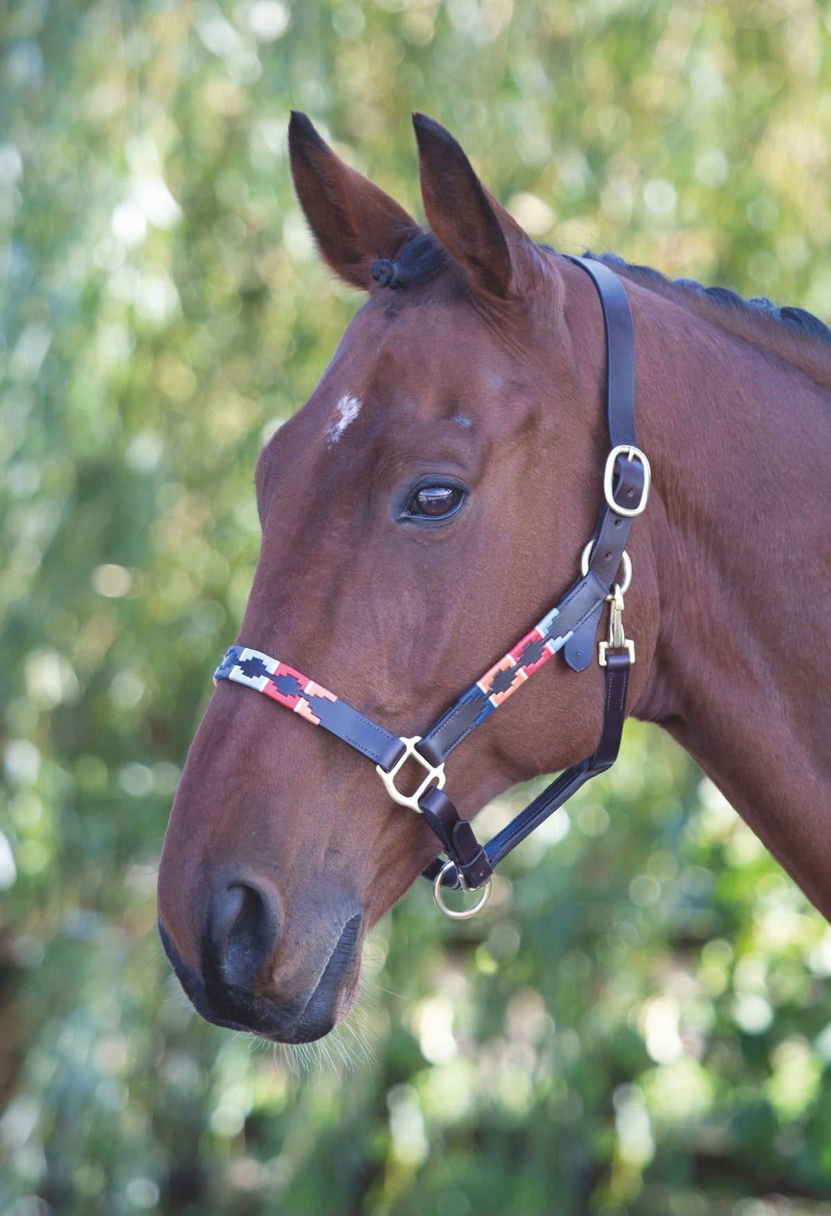 Licol polo en cuir Shires Velociti GARA