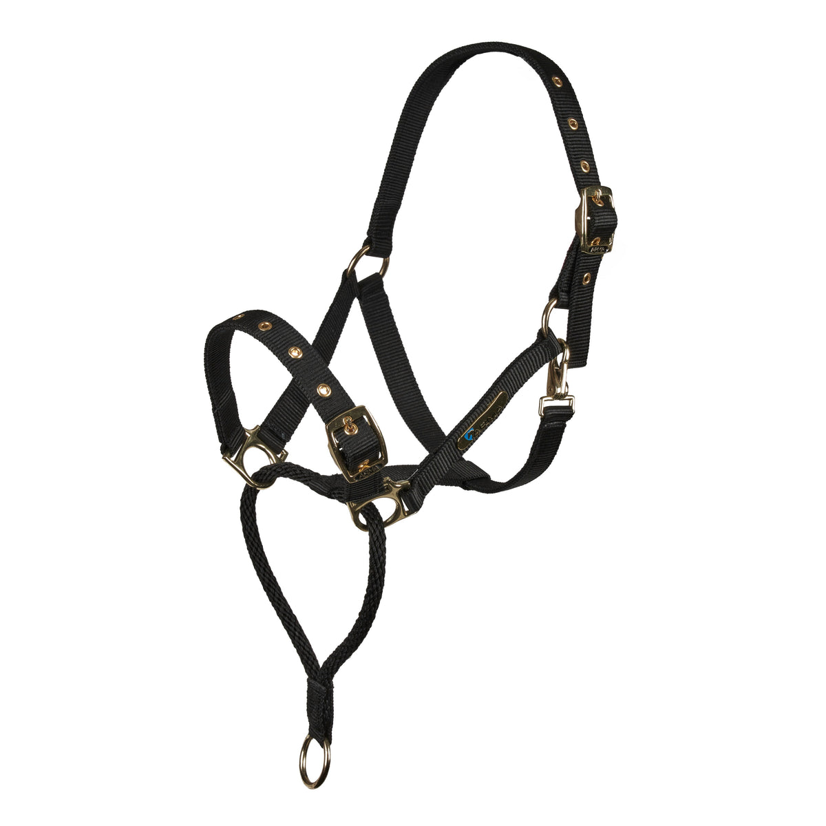 Shires Control Headcollar