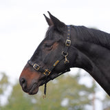 Shires Control Headcollar