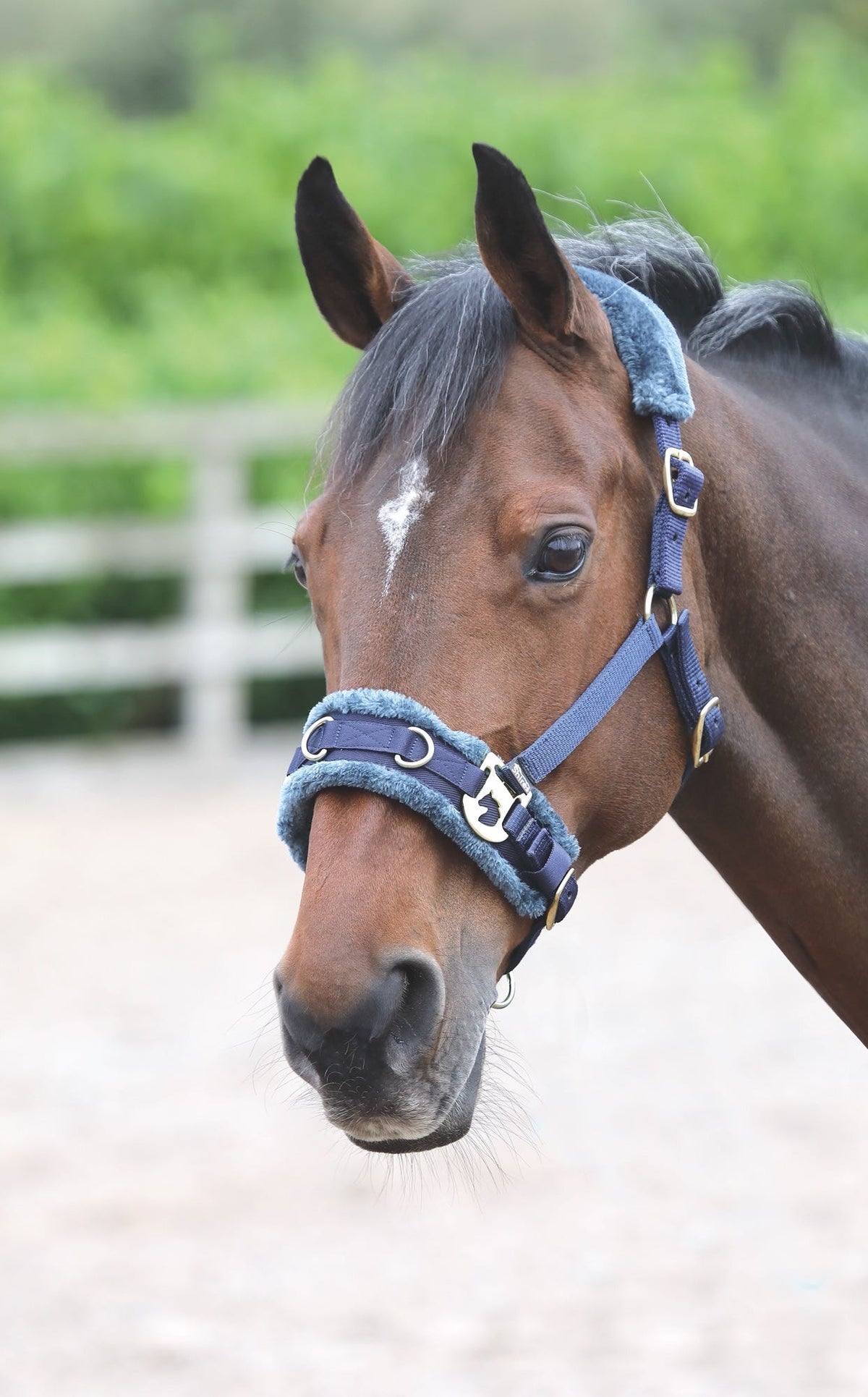Caveçon longe doublé en polaire Shires
