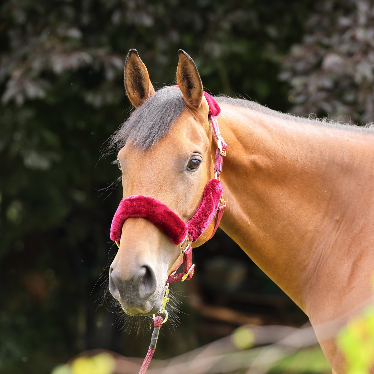 Shires ARMA Faux Fur Headcollar & Lead Rope