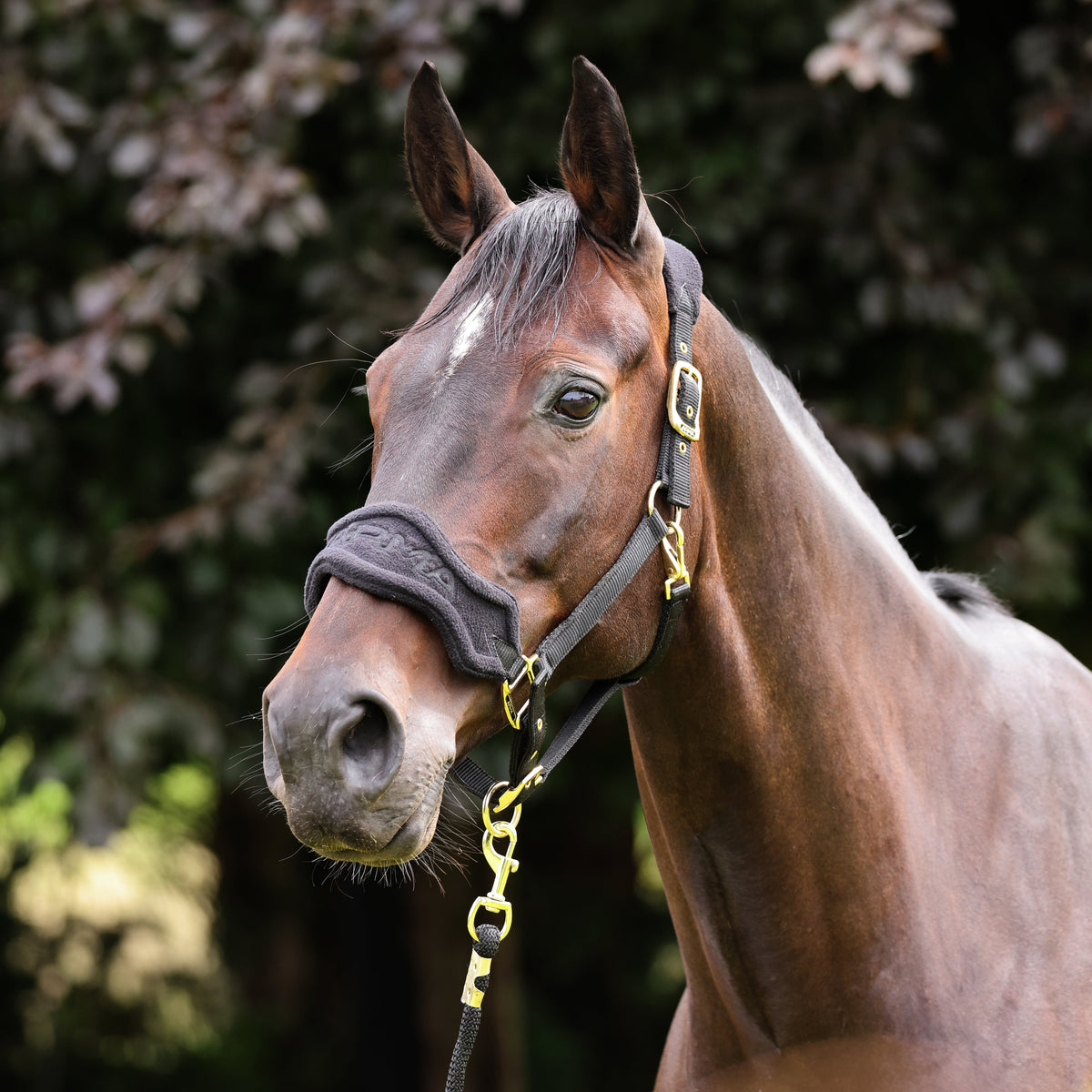 Shires ARMA Fleece Headcollar & Lead Rope