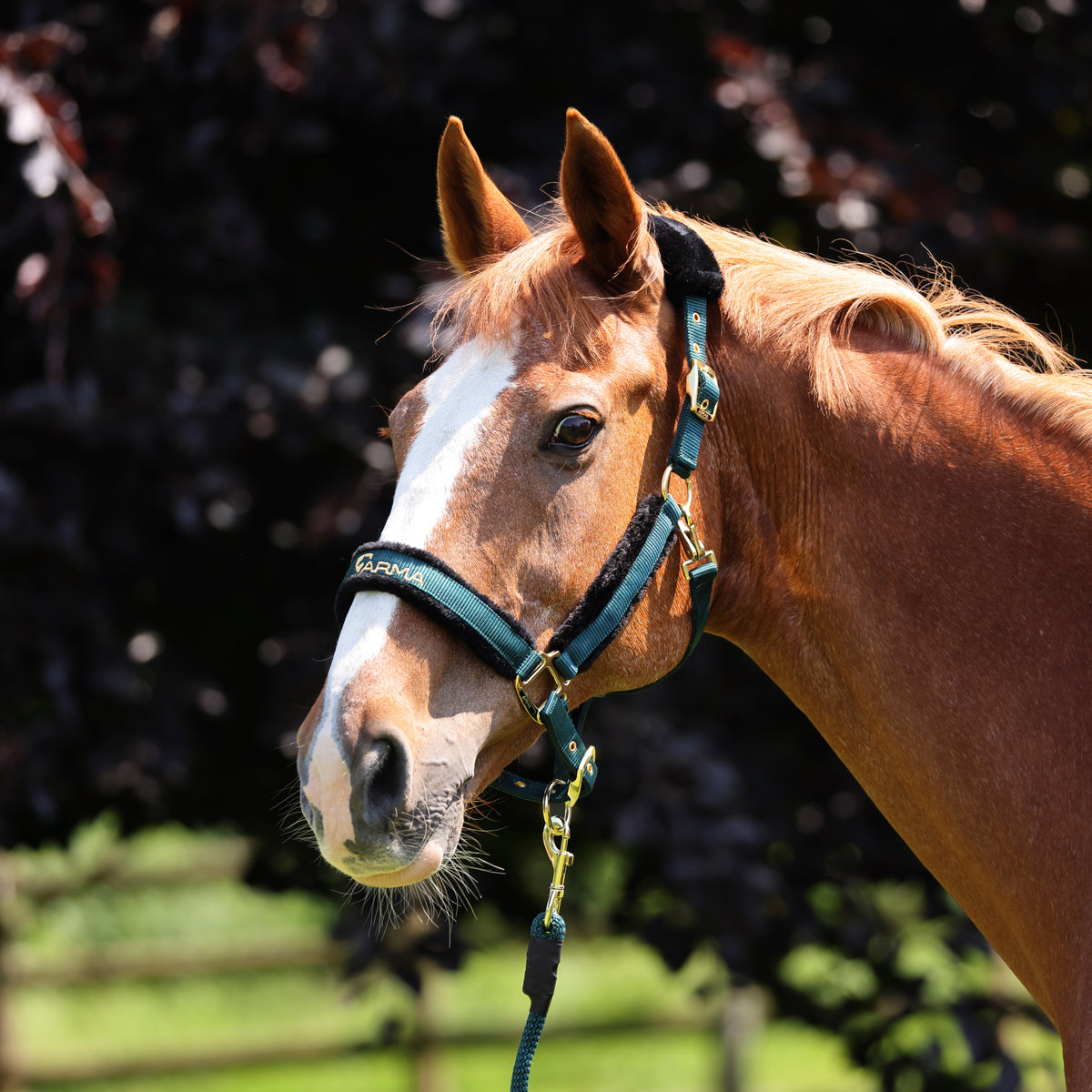 Shires ARMA Faux Fur Logo Headcollar & Lead Rope