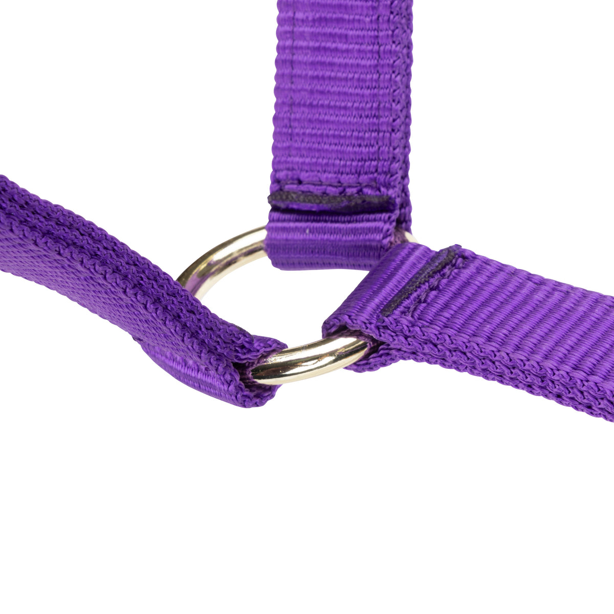 Shires ARMA Adjustable Headcollar