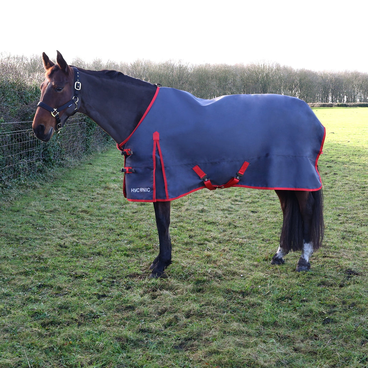 Lightweight Waterproof Turnout Rug For Sale | UK