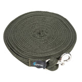 Shires Kissen -Web -Lunge -Linie