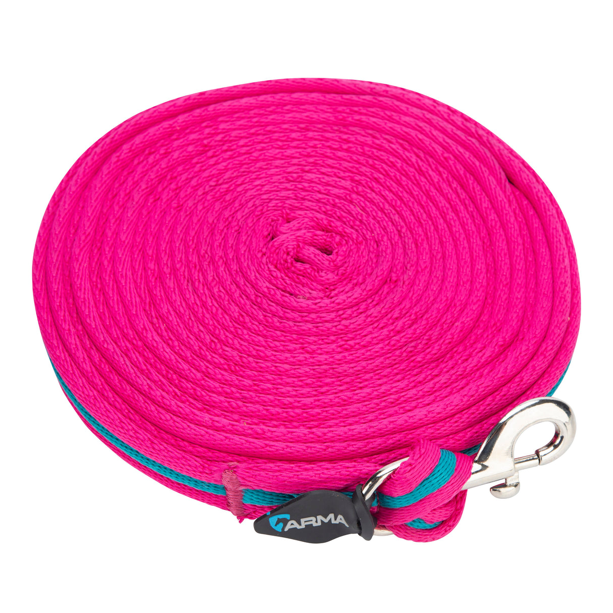 Shires Kissen -Web -Lunge -Linie