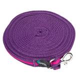 Shires Kissen -Web -Lunge -Linie