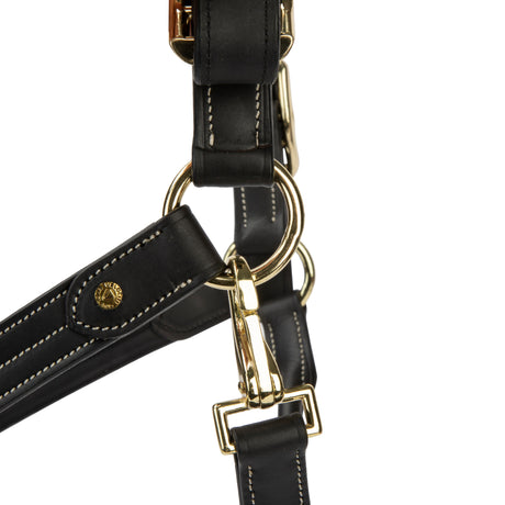 Shires Velociti Lusso Girona Leather Headcollar #colour_black