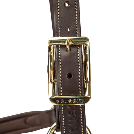 Shires Velociti Lusso Lorca Leather Headcollar #colour_havana