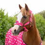 Supreme Products Dotty Fleece Head Collar & Lead Rope #colour_paradise-pink