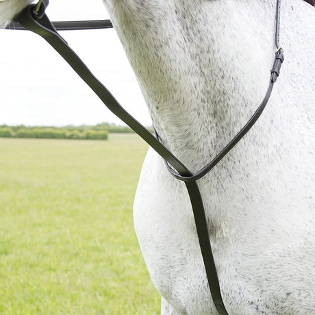 Shires Velociti GARA Standing Martingale