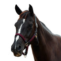 Dublin Braided Leather Padded Horse Headcollar