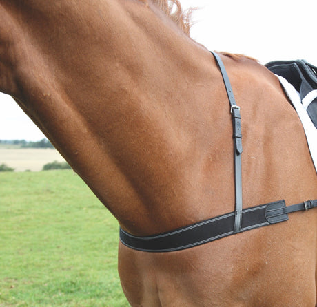 Shires Velociti GARA Elastic Breastgirth