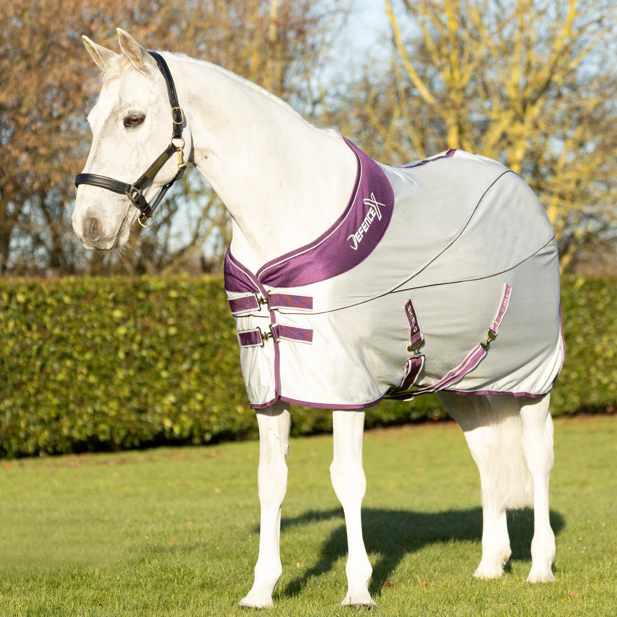 DefenceX Shield Sport Air Cooler Rug – GS Equestrian