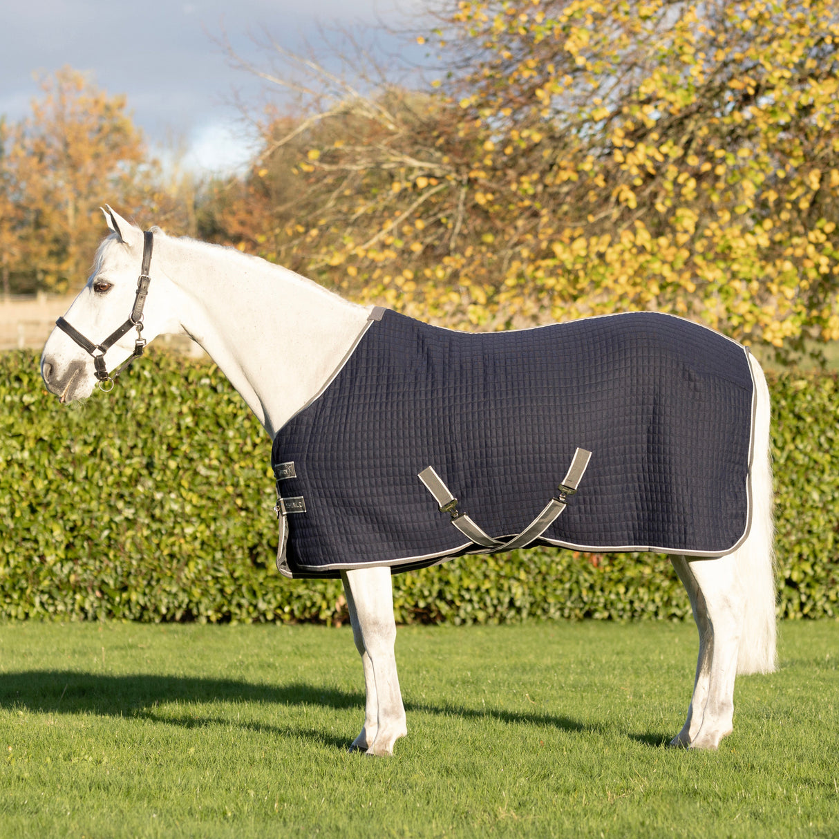 DefenceX Shield Thermal Rug #colour_navy
