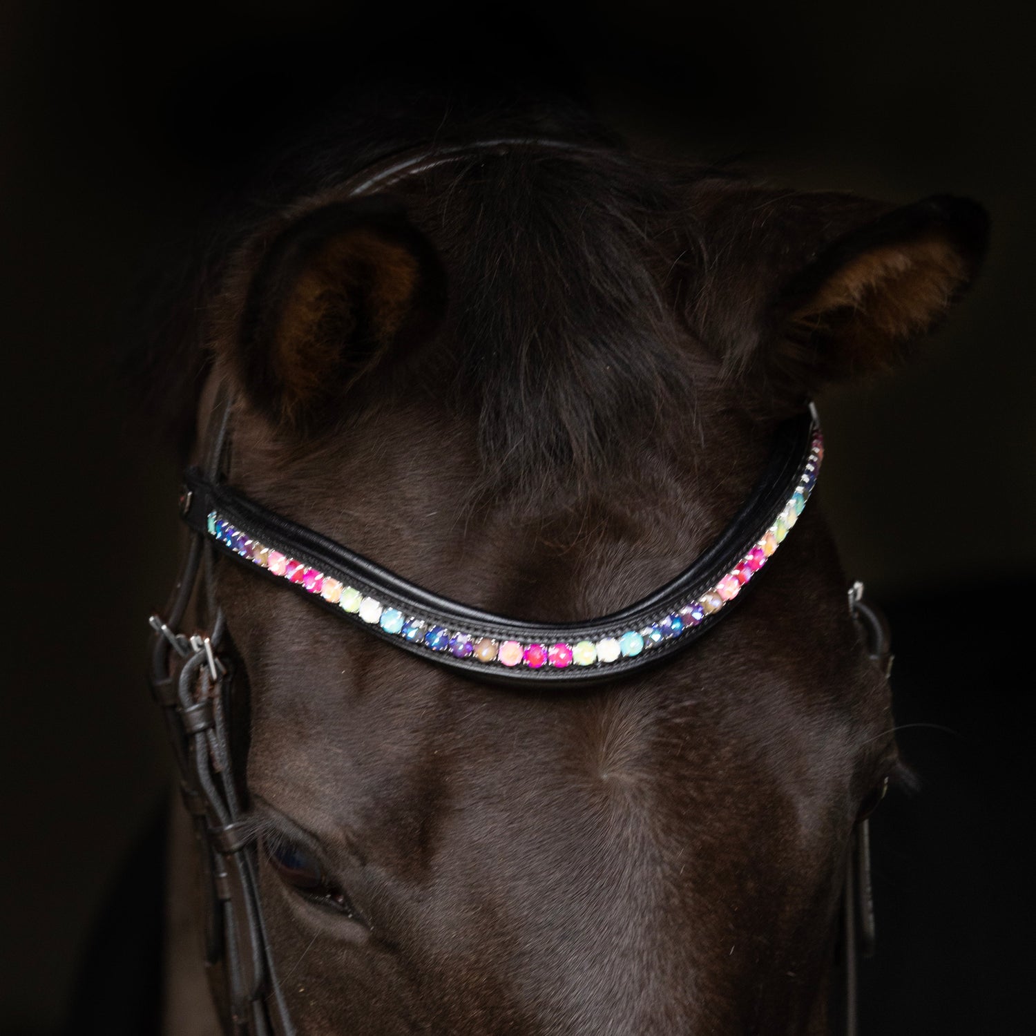 ProPresicce Signature Curved Diamante Browband by Hy Equestrian #colour_black-with-rainbow-diamantes