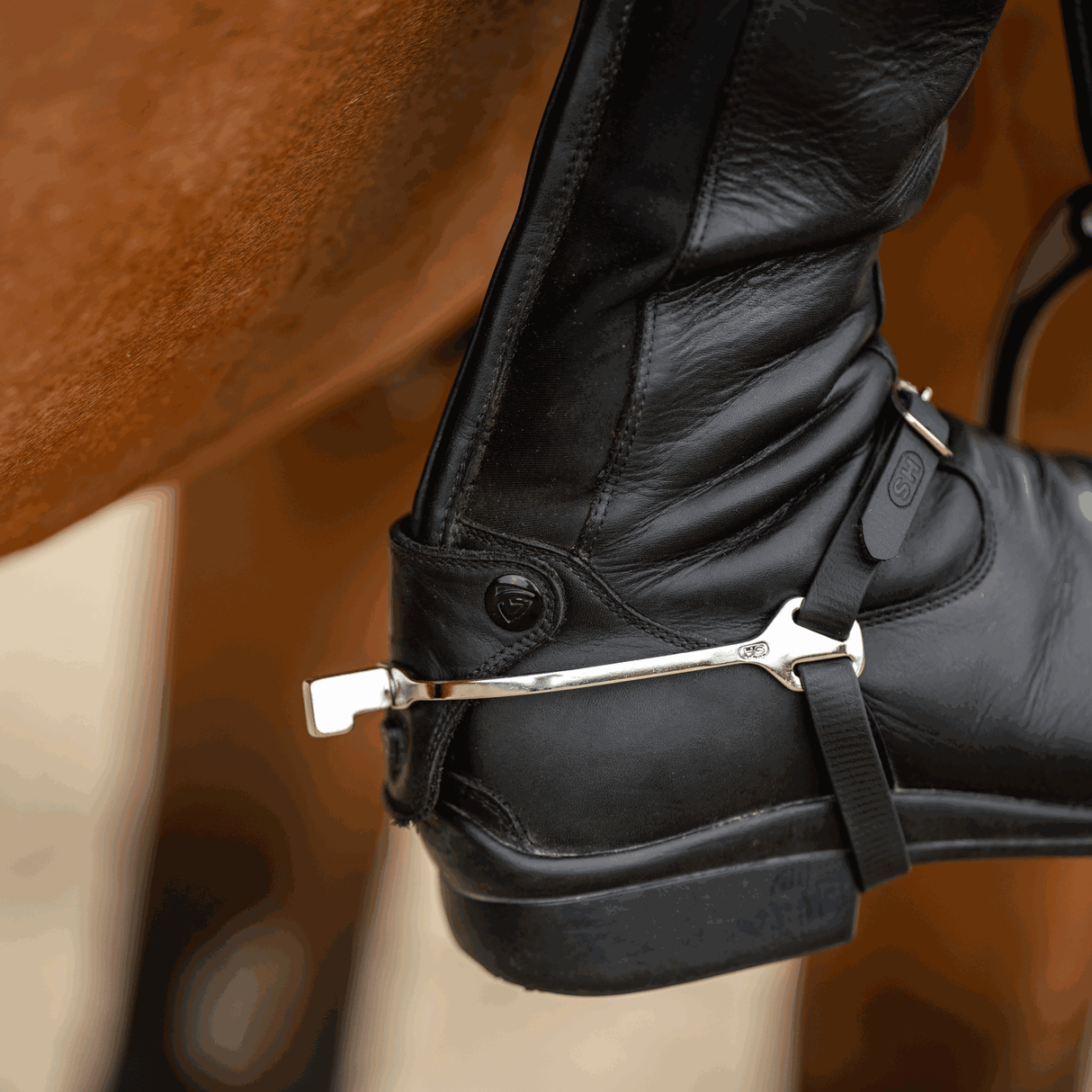 Sprenger Slimline Stainless Steel Flat Neck Boot Protect Spurs #style_hammer-neck