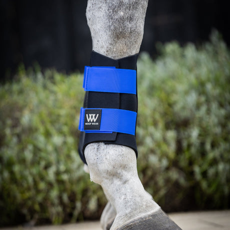 Woof Wear New Club Brushing Boot #colour_electric-blue