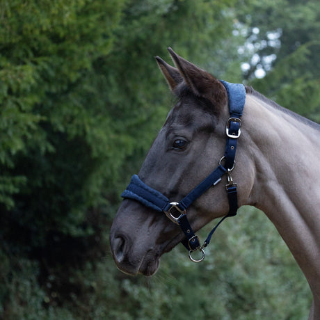 ProReaction Dura Fleece Head Collar by Hy Equestrian #colour_navy