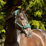 ProReaction Dura Fleece Head Collar by Hy Equestrian #colour_hunter-green