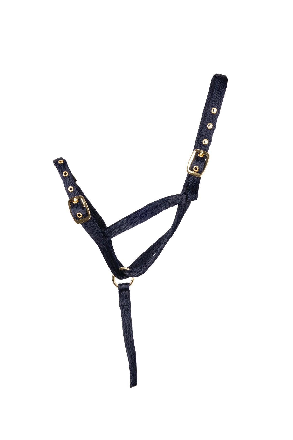 Hy Equestrian Foal Slip Halter #colour_navy